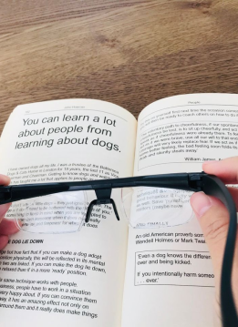 Flex Focus